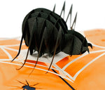 Load image into Gallery viewer, Giant Spider Halloween Pop Up Cards