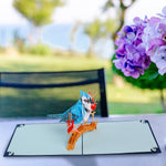 Load image into Gallery viewer, Blue Jay Pop Up Card