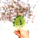 Load image into Gallery viewer, St Patricks Day Green Shamrock Pop Up Cards