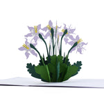 Load image into Gallery viewer, Colorado Columbine Pop Up Card