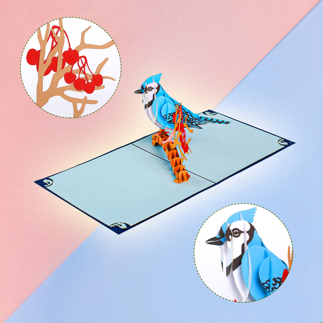 Blue Jay Pop Up Card