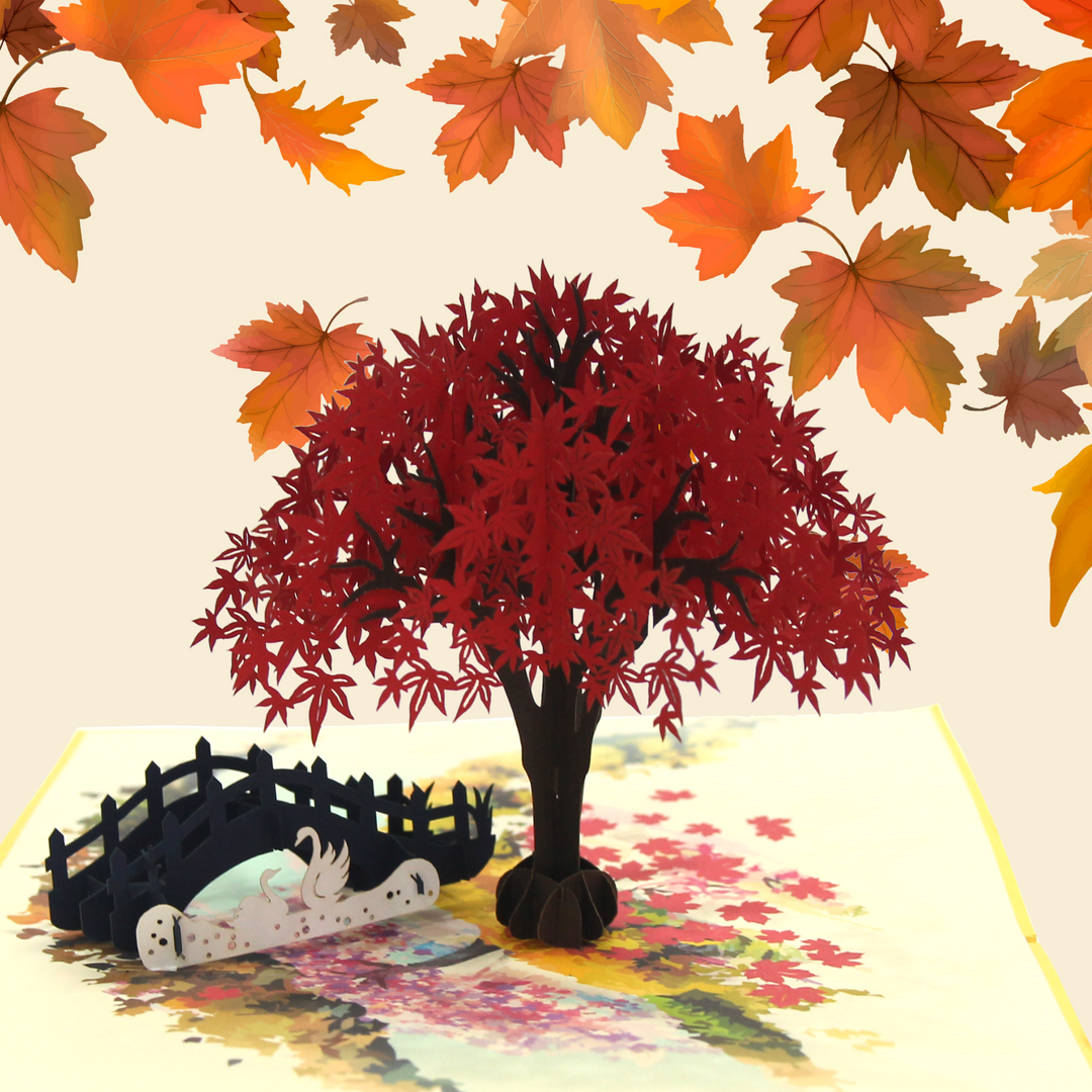 Japanese Maple Pop Up Card