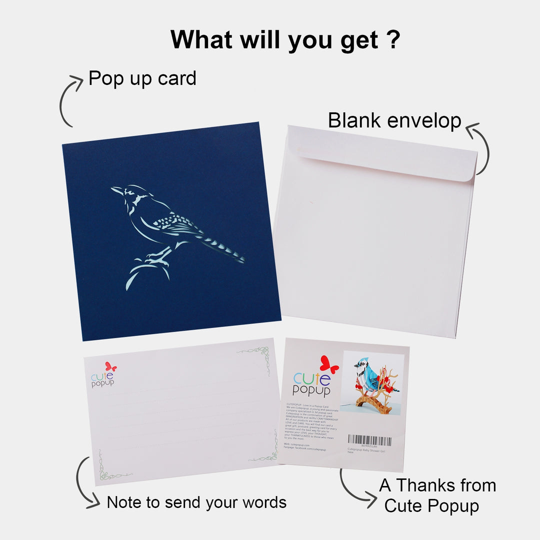 Blue Jay Pop Up Card
