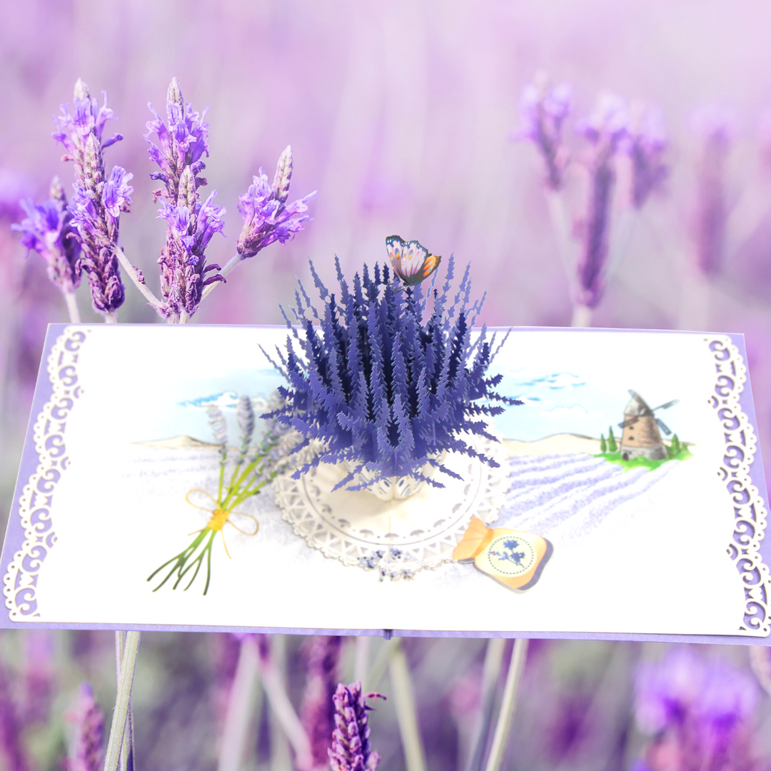 Lavender Pop Up Card