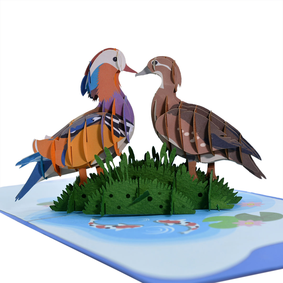 Mandarin Duck Couple Pop Up Card